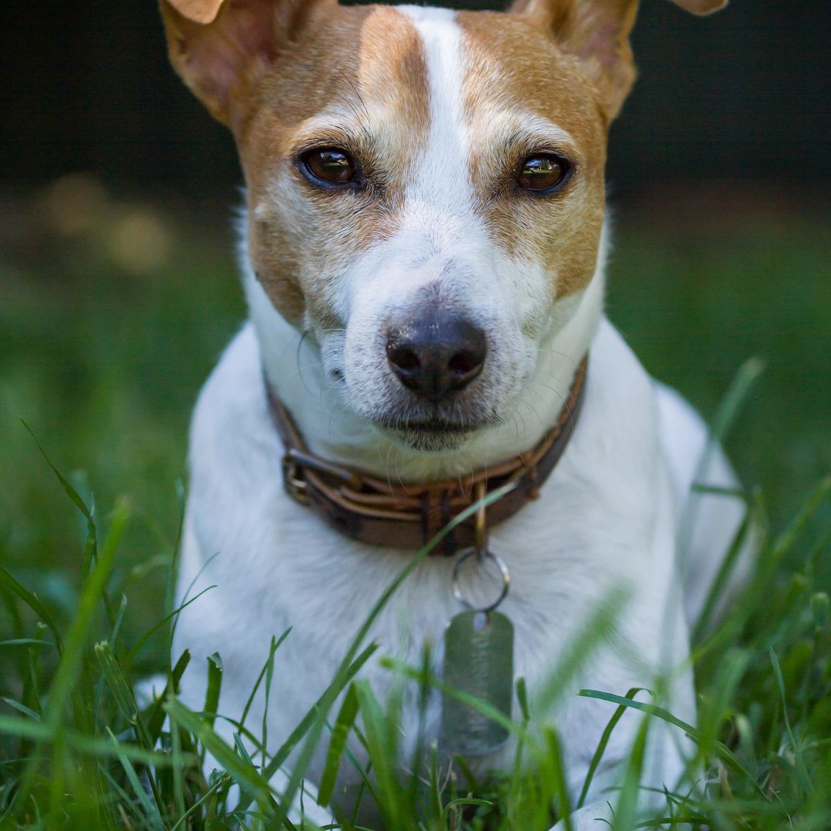 Rusty
